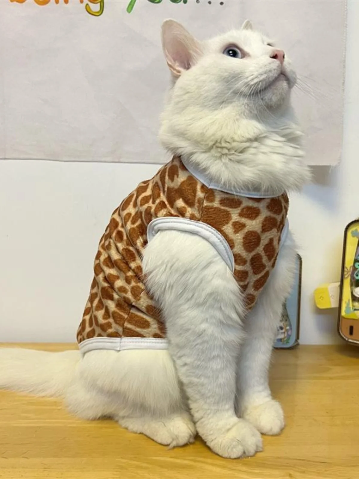 猫が冬に着るベストは、鹿柄のフリースが一番？