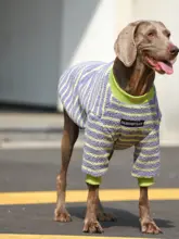大型犬用 冬季ペットウェア【暖かい保温素材・ラブラドール・ゴールデン・ドーベルマン対応】