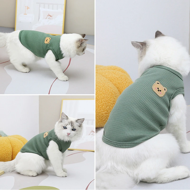 猫飼いが買ってよかったもの・悪かったもの正直に言う｜春夏ウェア選びの徹底解説