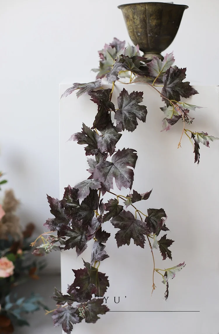 ワイヤープランツを育てたいなら、まずは「リアルなつる植物」を選ぶべき？
