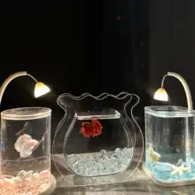 アクリル製 テーブル用異形金魚鉢【透明・小型・観賞用・エコ水槽デザイン】