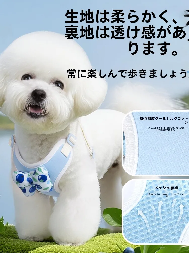犬用ハーネス型リード：小型犬の快適な散歩を実現する設計