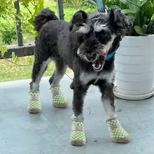 犬用サンダル【夏用・通気性・小型犬・防滑デザイン】