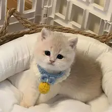 可愛いデザインの手編みペット用スカーフ【無音ベルボール付き・猫・小型犬・うさぎ用】（セットアップ対応）