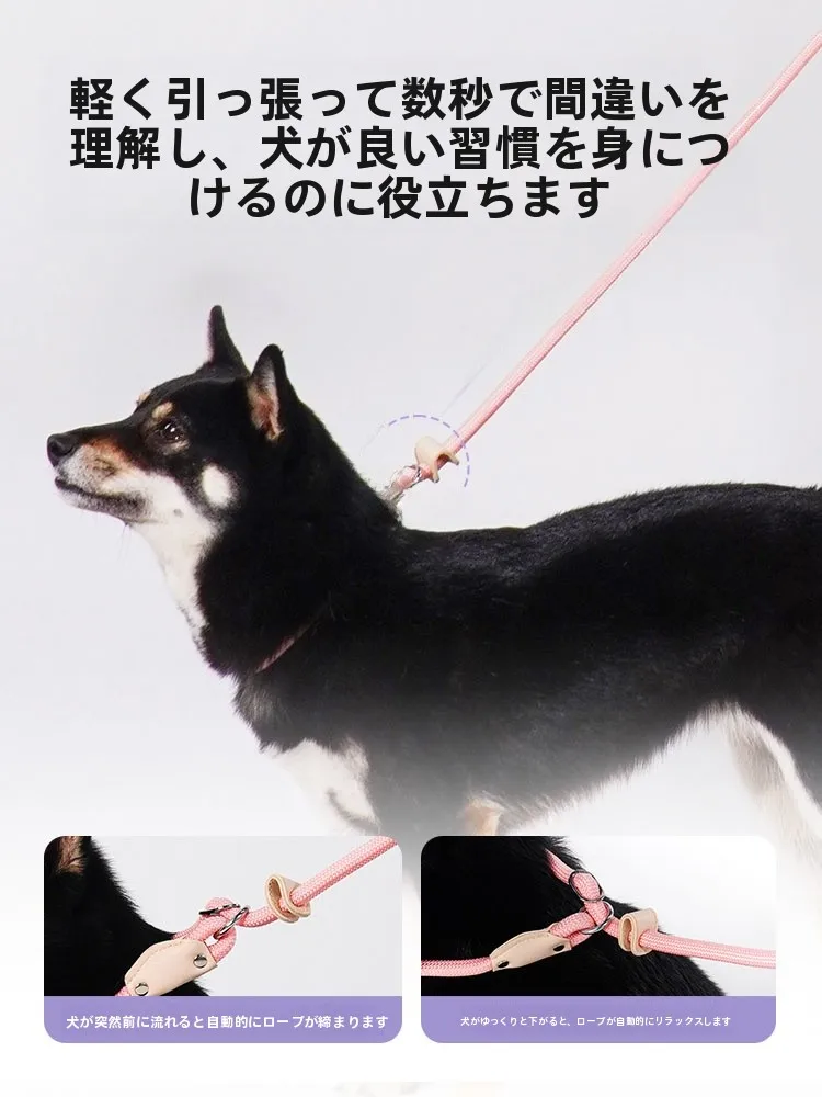 犬のお散歩グッズをコスパ良く揃える方法　安全機能が融合した選定ガイド