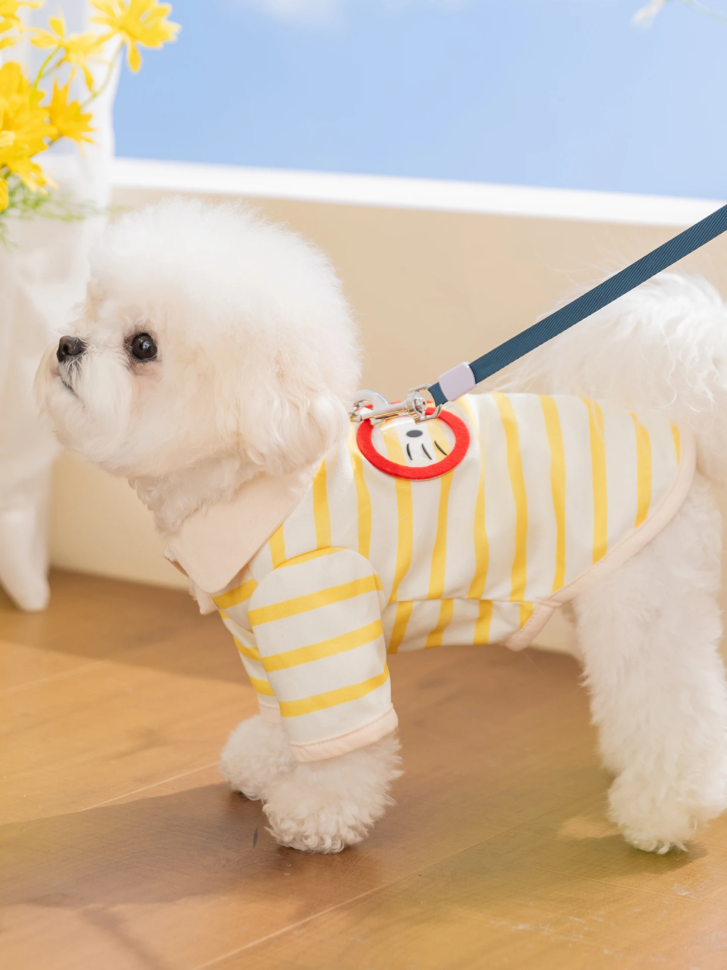 hipidog 犬用夏用薄手カートゥーン柄ストライプ服：通気性とデザインのバランスを実現