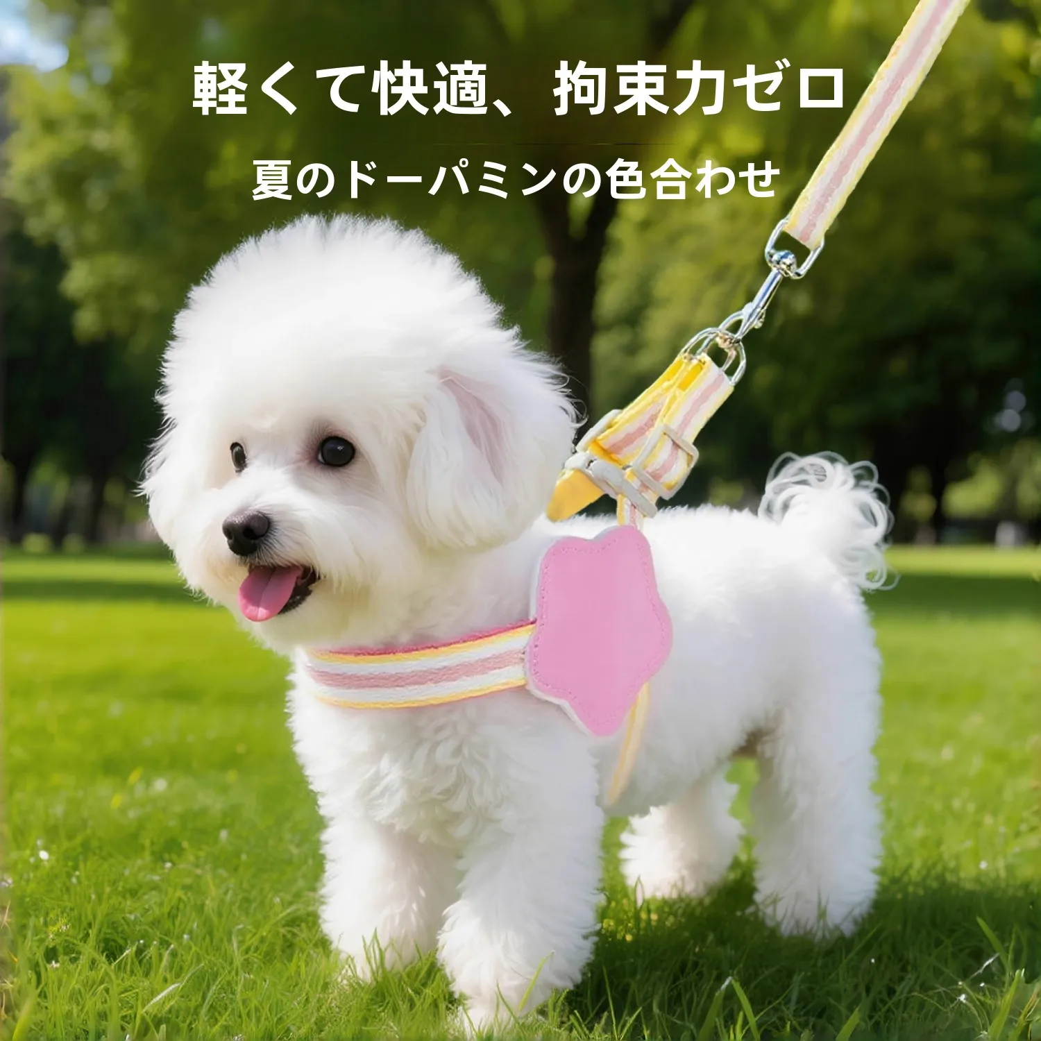 小型犬用調整可能なハーネス：防爆設計とカラーバリエーションでストレスフリー散歩