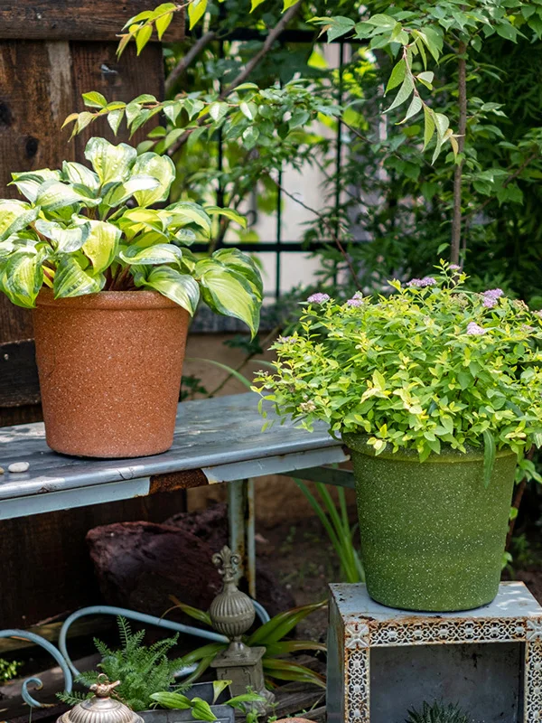 庭のガーデニングに必要なプランターは、多肉植物にぴったり？グリーン樹脂のマットクリエイティブが解決する3つの悩み