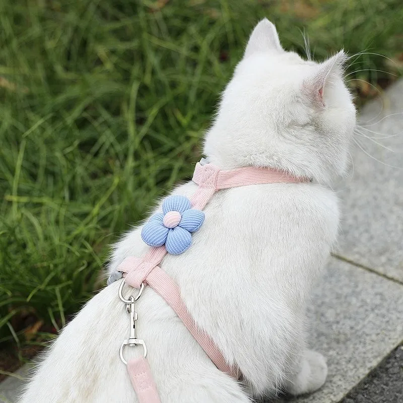 紛失防止タグを買うなら、どう選ぶ？猫の脱走防止に最適なアイテムは？
