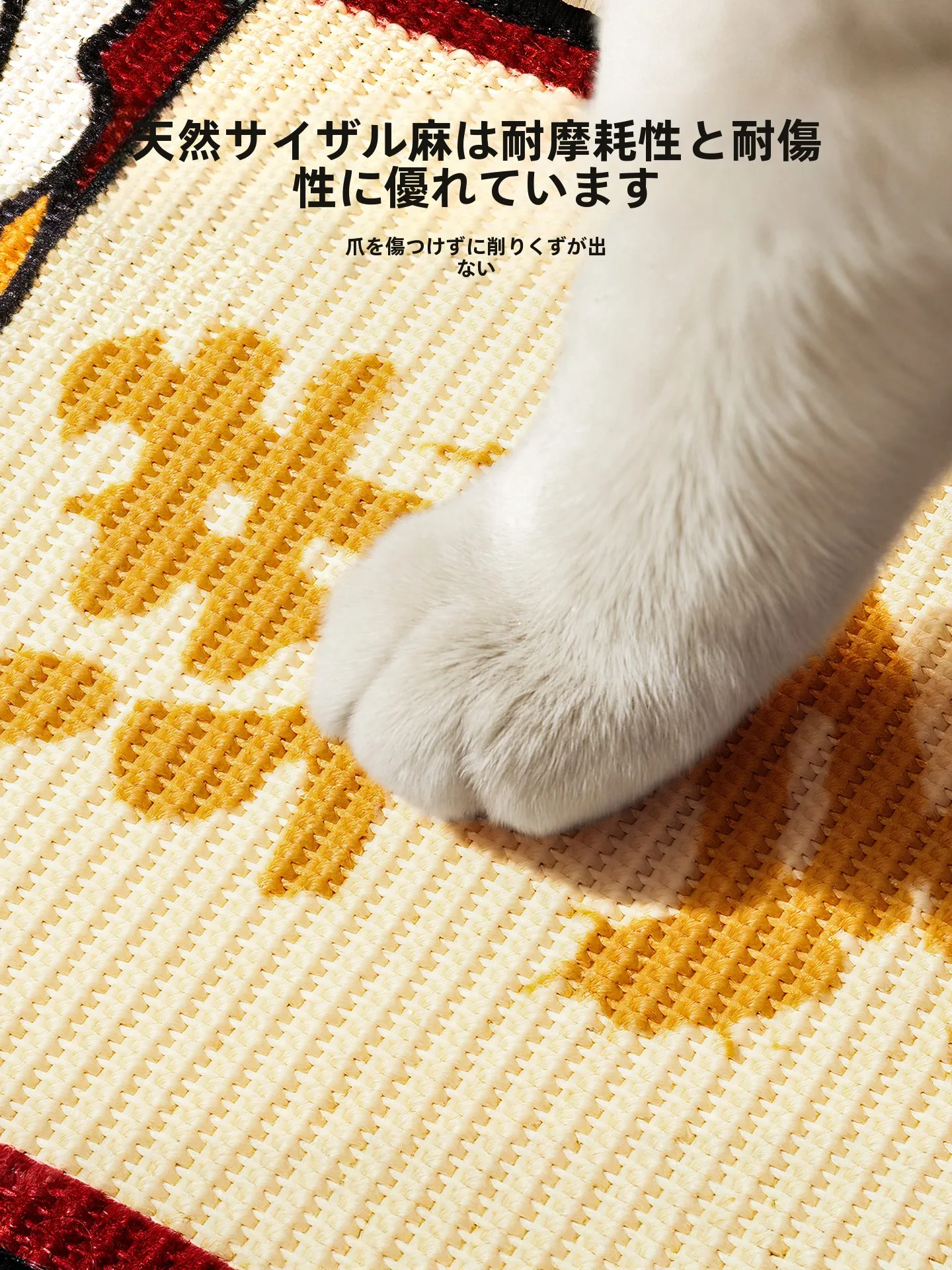 猫爪用グリップボード：大型猫の日常使い方と壁掛け・ソファ保護の実証