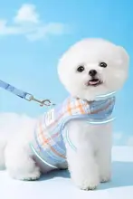 犬 牽引リード 小型犬 胸ハーネス 高品質 軽量 快適