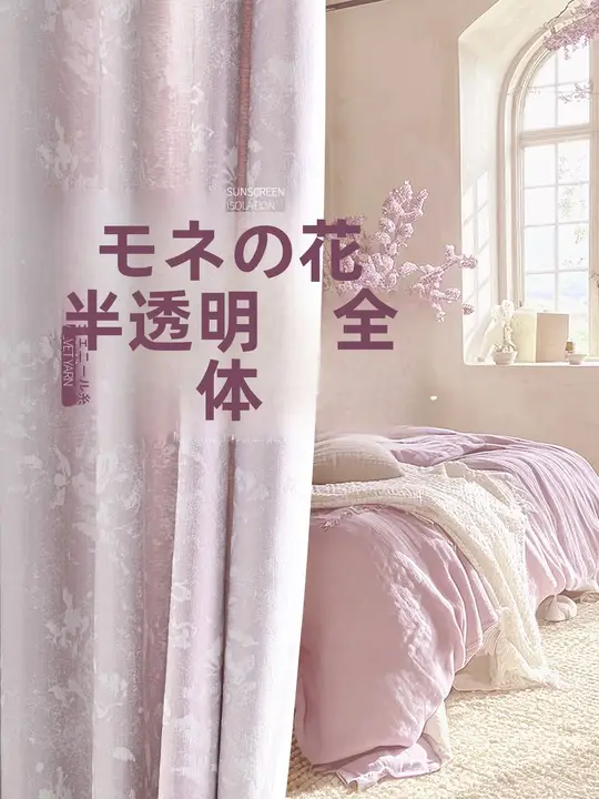 半透明のレースカーテン【フランス風・ロマンティックデザイン・リビングルーム用】