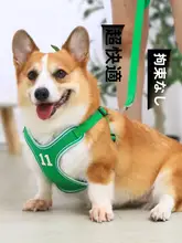 ペット用 胸部ハーネス リード【小型・中型犬用・アウトドア・散歩用】