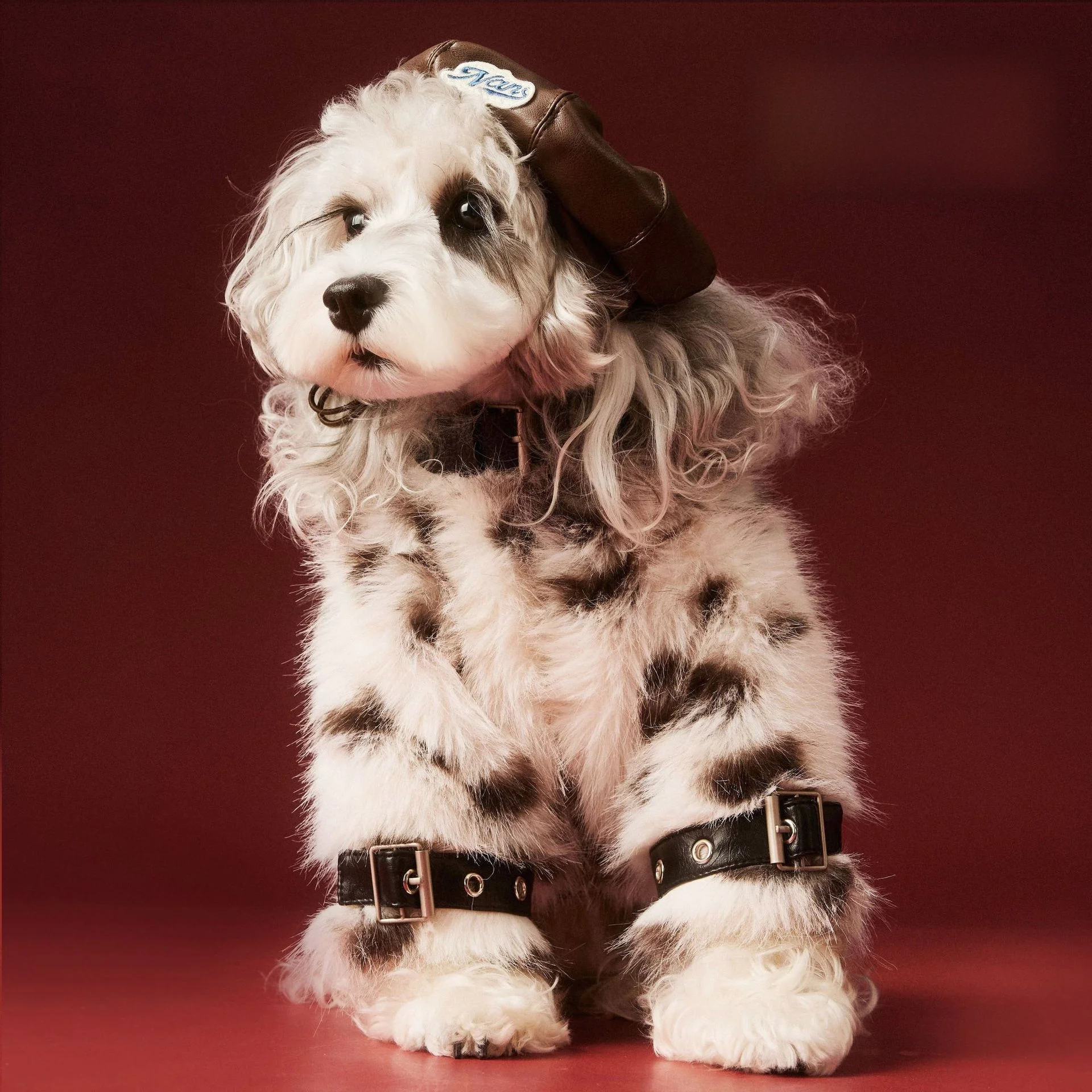 秋冬用ペット用ファーコート：柴犬・トイプードル対応の袖タブ付きデザインが実用性を確保
