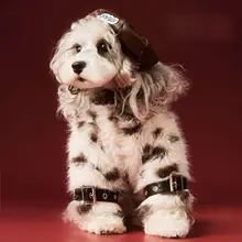秋冬用 ペット用ファーコート【柴犬・トイプードル・ミニチュアシュナウザー・ヨークシャテリア対応】