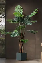 観葉植物 モンステラ 室内 大型 フロアプラント 装飾