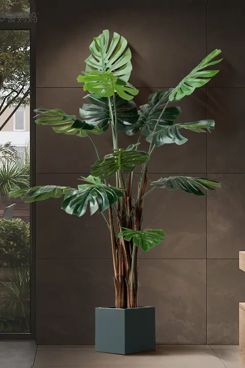 観葉植物 モンステラ 室内 大型 フロアプラント 装飾
