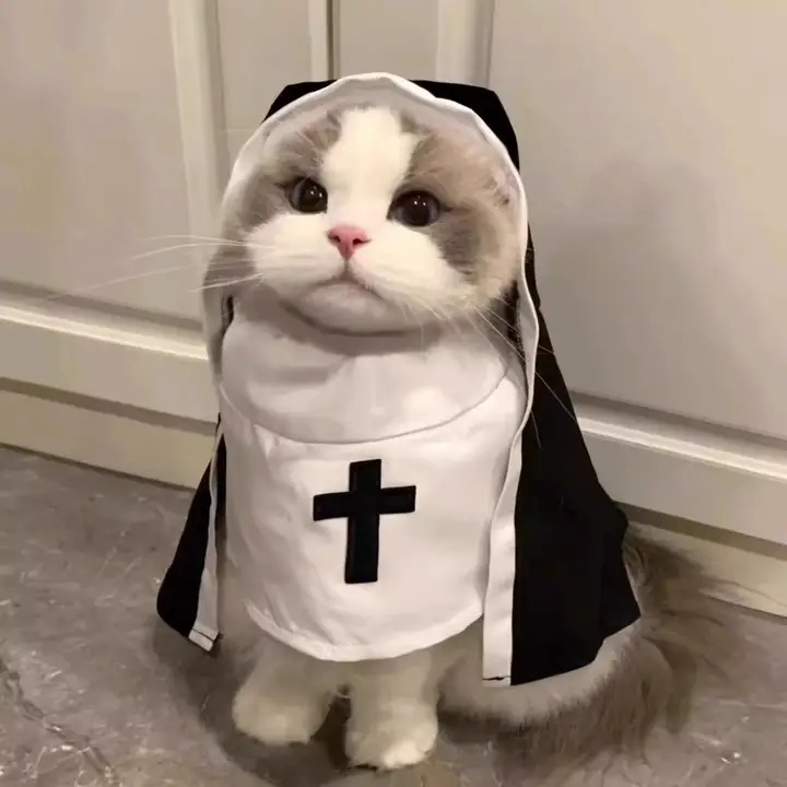 猫用 修道女衣装【ハロウィン・コスプレ・ペット用・薄手】