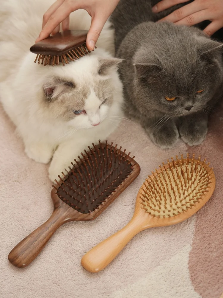 猫ブラシ気持ちいいおすすめ5選：なぜ猫の気持ちをほっとさせるのか？