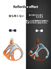 小型犬用ハーネス付きリード【散歩用・テディベア・幼犬対応】