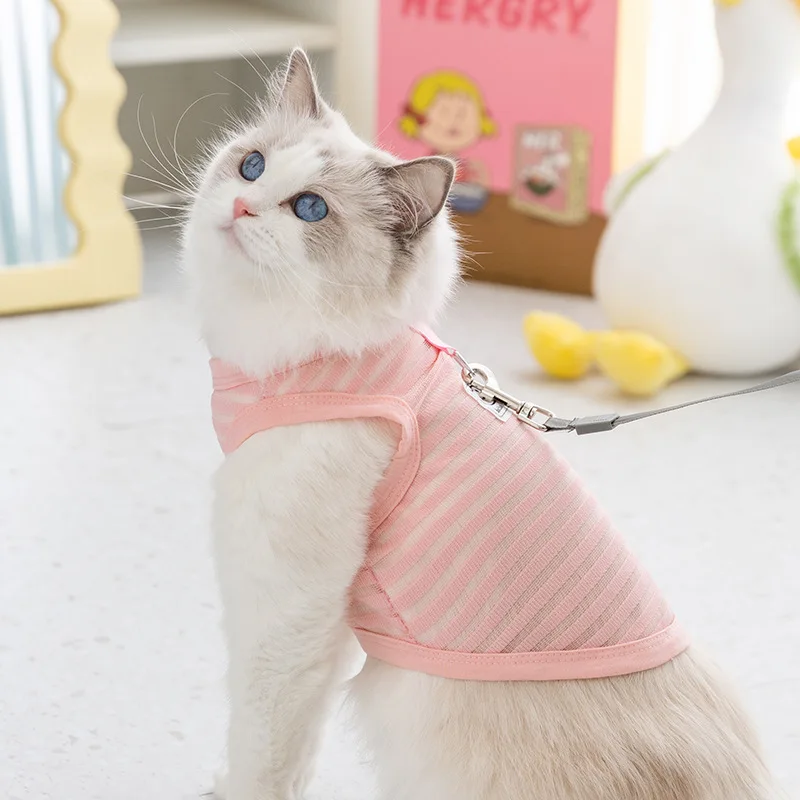 猫飼いが買ってよかったもの・悪かったもの正直に言う | ペットの子猫の服・夏用薄手スタイルの定義と特徴