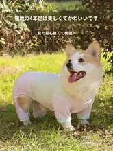 柴犬用 春夏用通気性抜群のペット服【防汚・紫外線対策・抜け毛防止・四足用】