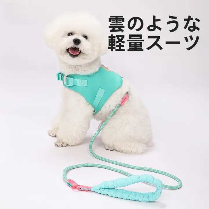 小型犬用 ハーネス型リード【コーギー・テディ・ウェスティ・防止首圧】