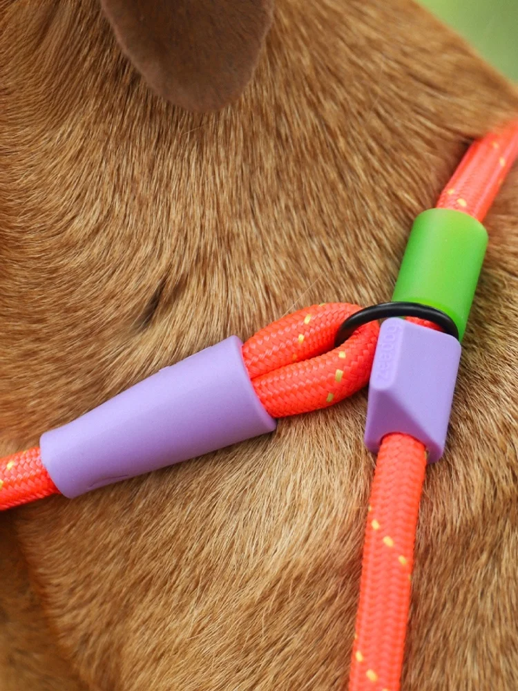 犬のお散歩グッズをコスパ良く揃える方法｜スライド式リードでストレスを減らす完全ガイド