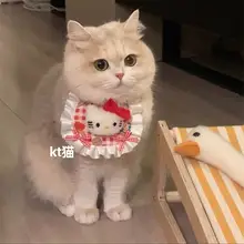 可愛い猫用エプロン【レース・ペット用・撮影用アクセサリー・首飾り】