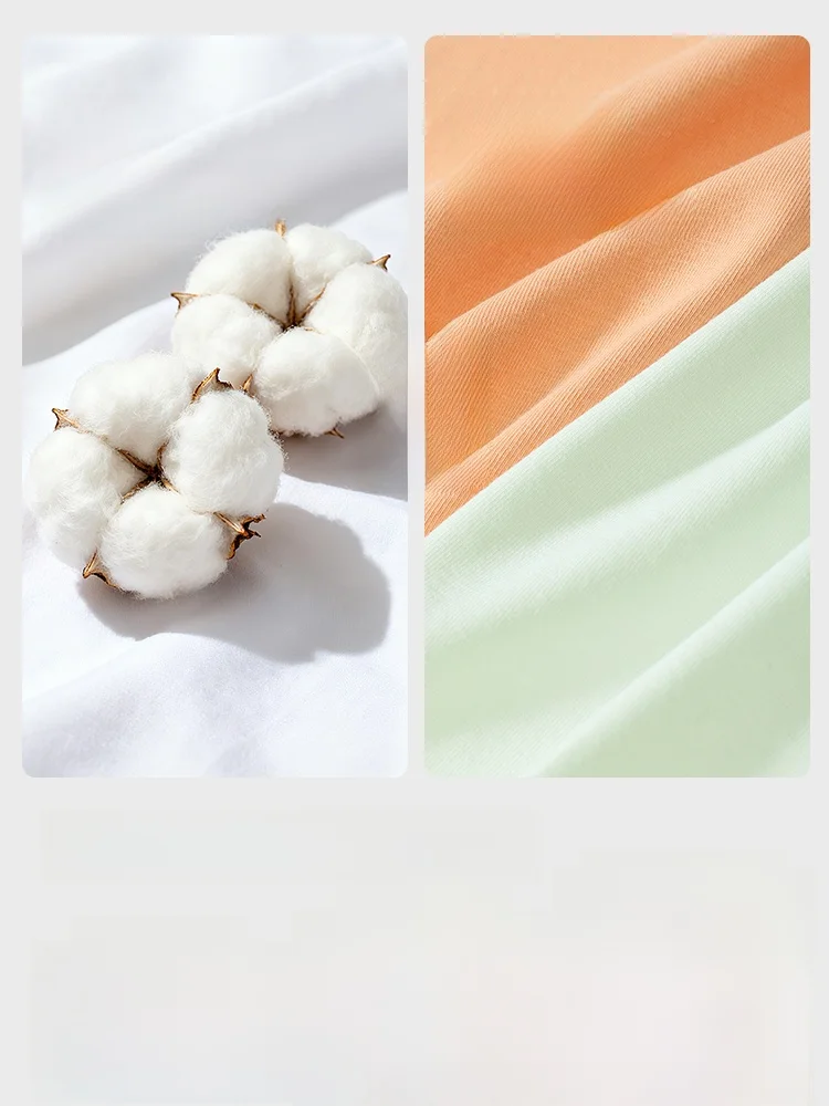 ditoo plus とは何か？女性用コットン抗菌パンティーが本当に効果的なのか？