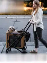多機能ペットカート【犬・猫用・リュックタイプ】
