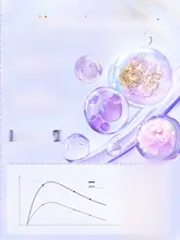 美白手膜【補水・保湿・修復・手部ケア】
