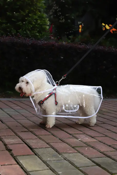 犬用レインコート【透明・小中型犬用・防水デザイン・テディベアタイプ】