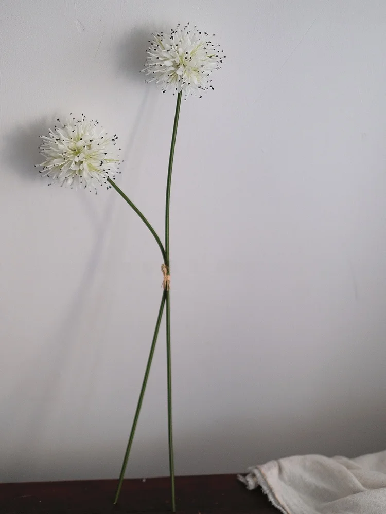 白いバケハに似た花を家に飾るなら、これが一番心地よい理由は？