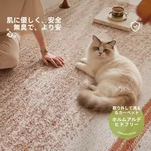 洗えるおしゃれなリビング用ラグ【猫の爪対策・こげ茶・北欧風・掃除が簡単】（セットアップ対応）