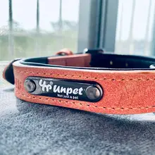 可愛いデザインの小型犬用ハーネスリード【防脱出機能・コーギーやビションフリーゼ対応】