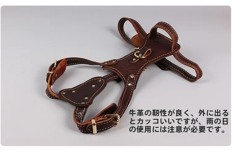 犬のお散歩グッズをコスパ良く揃える方法｜本革ハーネスの実際の選び方と使い勝手