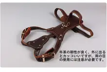 大型犬用本革製ハーネス【調整可能・伸縮式・ダルメシアン・シェパード対応】