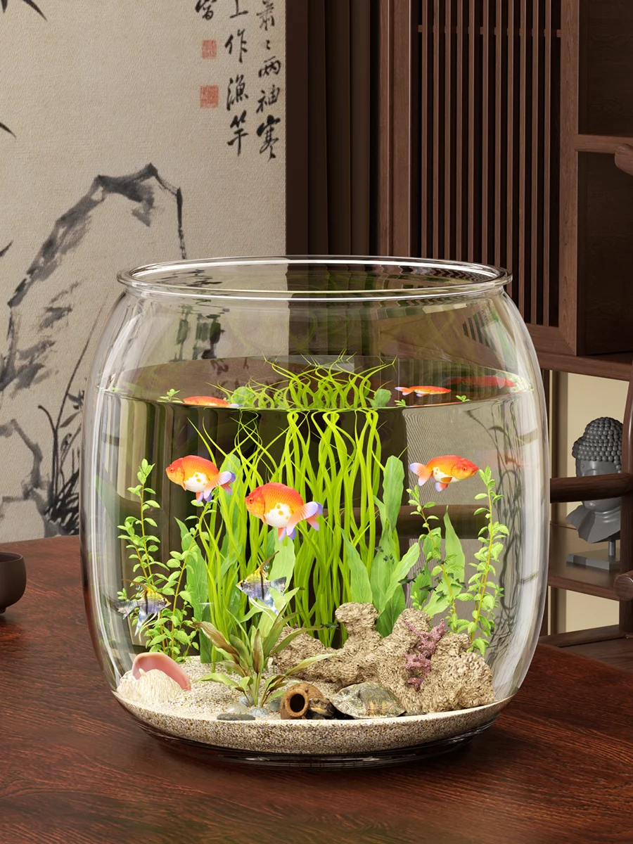 120cm アクリル水槽 中古 と 60センチ水槽 の違いは？本当に必要なサイズはどれ？