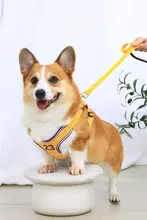 ペット用 胸部ハーネス リード【小型・中型犬用・アウトドア・散歩用】