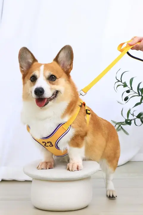 ペット用 胸部ハーネス リード【小型・中型犬用・アウトドア・散歩用】