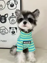 小型犬用 秋冬用タートルネックストライプ服【シュナウザー・テディ・ビション・ポメラニアン向け】