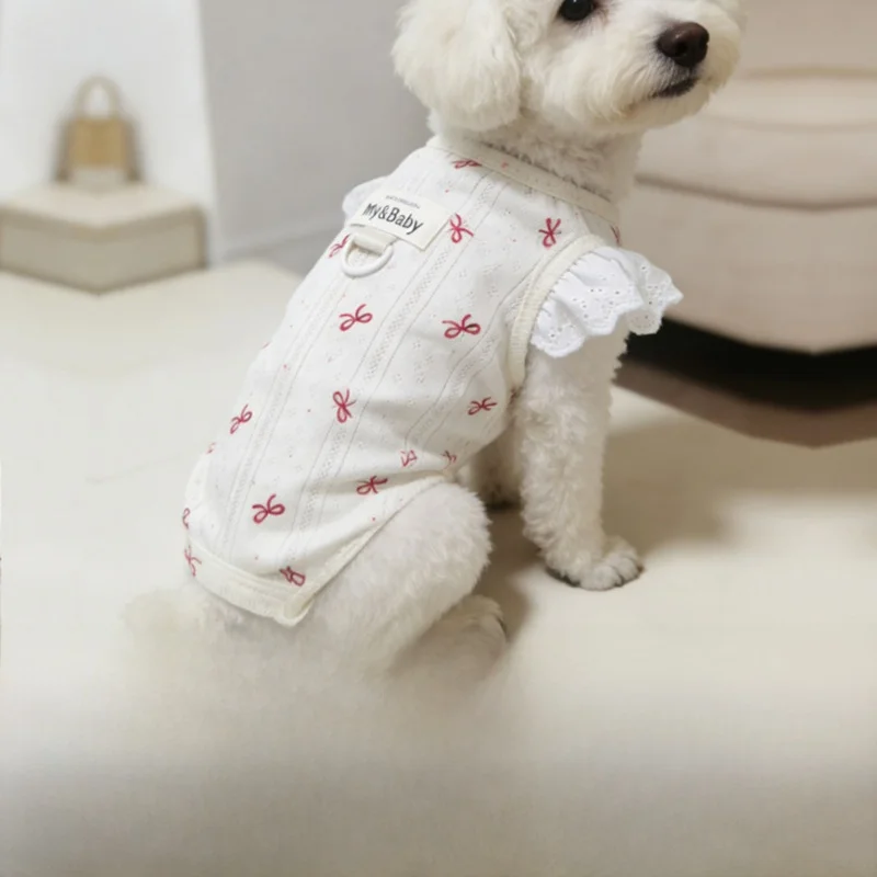 チワワにぴったりの春用犬服は、どう選ぶ？