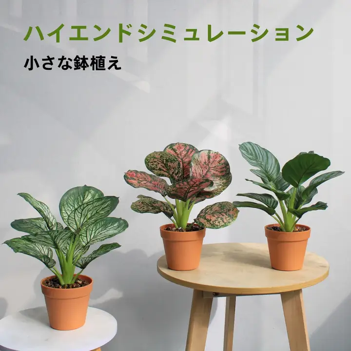 高級リアルグリーンプランツ 竹芋ミニ観葉植物【ホテル・インテリア装飾・自然な雰囲気】