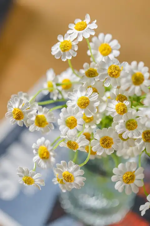 花飾り 小さなデイジー リビング用装飾 グリーン植物 偽造花 美しい形状