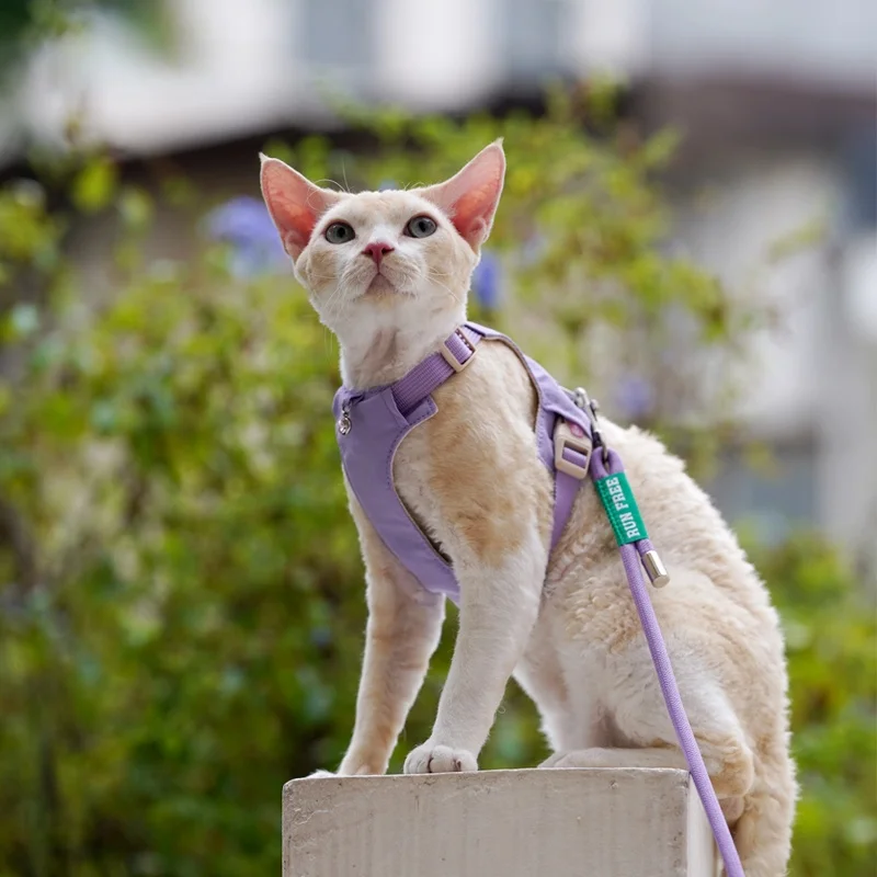 猫飼いが買ってよかったもの・悪かったもの正直に言う｜外出用ハーネスの選び方徹底解説
