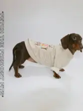 春秋用ペットウェア【薄手・ラウンドネック・犬用・小型犬対応】