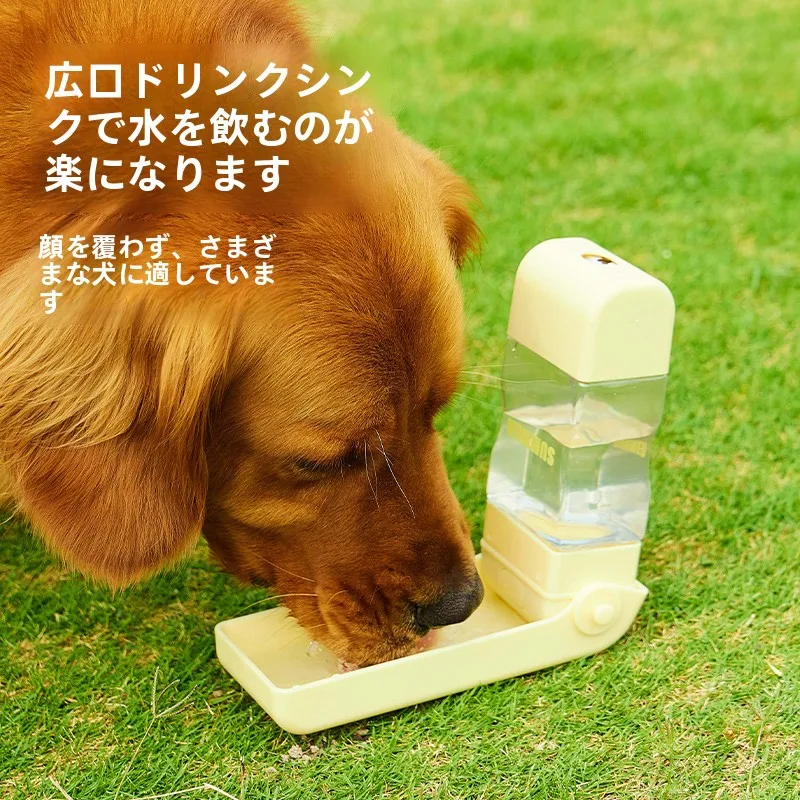 犬の外出時の携帯用水飲み場：キャンプや散歩で犬が安心できる実用アイテム