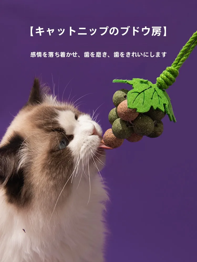 猫用薄荷ボールおもちゃ：一人暮らし向けの遊び心と歯磨き効果を実証