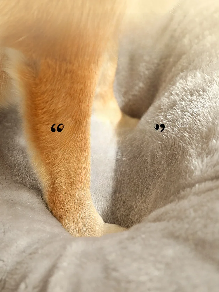 大型犬用冬期保暖ハウス：kimpets GW0902 三層構造の実用性と設置ガイド
